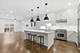 850 W Lill Unit 1, Chicago, IL 60614