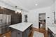 713 N Marion, Oak Park, IL 60302
