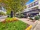 1033 W 14th Unit 115, Chicago, IL 60608