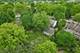 332 Everett, Crystal Lake, IL 60014