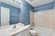 913 Genesee, Naperville, IL 60563