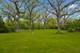 931 E Steger, Steger, IL 60475