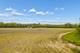 931 E Steger, Steger, IL 60475
