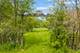 931 E Steger, Steger, IL 60475