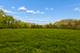 931 E Steger, Steger, IL 60475