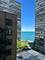260 E Chestnut Unit 1106, Chicago, IL 60611
