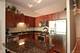 700 N Larrabee Unit 2013, Chicago, IL 60654