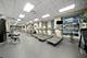 700 N Larrabee Unit 2013, Chicago, IL 60654