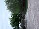 1631 N Monticello, Chicago, IL 60647