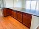 9601 Golf Unit 401, Des Plaines, IL 60016