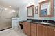 1132 S Fernandez, Arlington Heights, IL 60005