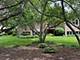 7215 Centennial Unit 7215, Rockford, IL 61107