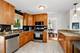 15581 Frances, Orland Park, IL 60462