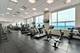 1901 S Calumet Unit 909, Chicago, IL 60616