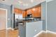 1901 S Calumet Unit 909, Chicago, IL 60616