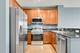 1901 S Calumet Unit 909, Chicago, IL 60616