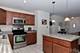 533 Bobby, Mundelein, IL 60060