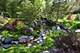 1661 Balmoral, Inverness, IL 60067