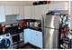 856 W George Unit 2, Chicago, IL 60657