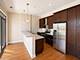 1002 W Van Buren Unit 205, Chicago, IL 60607