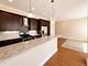 1002 W Van Buren Unit 205, Chicago, IL 60607