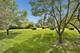 5300 Walnut Unit 2B, Downers Grove, IL 60515
