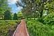 6547 S Langley, Chicago, IL 60637