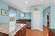 1009 Alberta, Elgin, IL 60124
