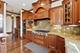 1201 Plum Tree, Barrington, IL 60010