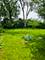 6240 W 87th, Burbank, IL 60459