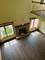 223 Williamsburg, Montgomery, IL 60538