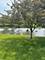 223 Williamsburg, Montgomery, IL 60538