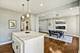 1622 S Central Park, Chicago, IL 60623