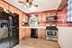 419 S Orchard, Park Forest, IL 60466