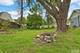 62 Lippincott, Fox Lake, IL 60020