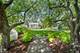17649 S Richmond, Plainfield, IL 60586