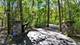 27250 N Meadowoods, Mettawa, IL 60048