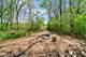 27250 N Meadowoods, Mettawa, IL 60048