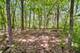 27250 N Meadowoods, Mettawa, IL 60048