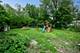 711 S 4th, Dekalb, IL 60115