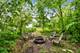 2114 Cedar, Homewood, IL 60430