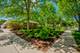 600 S Stone, La Grange, IL 60525