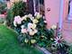 1205 Winston, Melrose Park, IL 60160