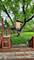 20831 N Maple, Deerfield, IL 60015