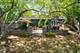 805 Nw Holcomb, Mundelein, IL 60060