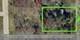 1S156 3rd, Lombard, IL 60148