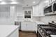 1638 N Hamlin, Chicago, IL 60647