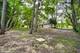 35W302 Pinelands, St. Charles, IL 60174