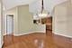16635 S Fox Run, Plainfield, IL 60586