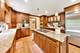 2302 Lisa, Palatine, IL 60067